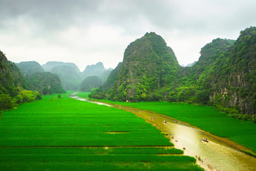 Rice fields on mountain in vietnam