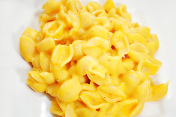 Delicious and Creamy Macaroni and Cheese