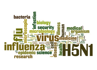 H5N1 word cloud