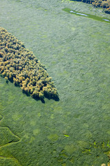 green flood-land meadow