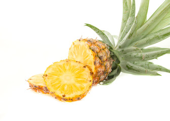 Pineapple fruit on white