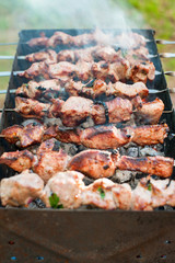 Cooking barbecue or shashlik on spit. Picnic on weekend.Outdoors