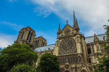 Fototapeta na wymiar Norte Dame Cathedral de Paris. France
