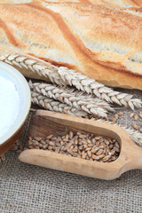 baguettes de pain