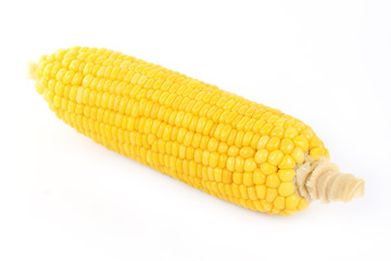 Fresh cook corn