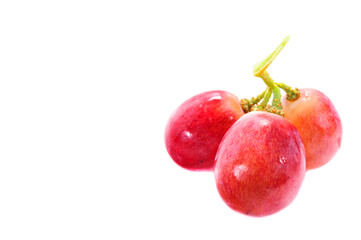Red grapes isolated