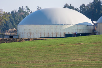 Green Bioenergy