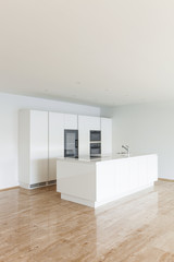 beautiful house, modern kitchen
