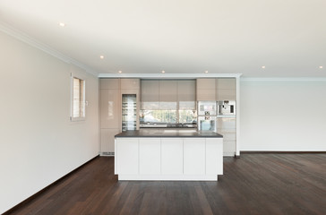 Fototapeta na wymiar beautiful house, modern kitchen