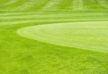 golf course. green grass field background