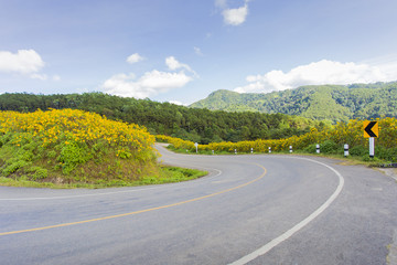 Road Flower