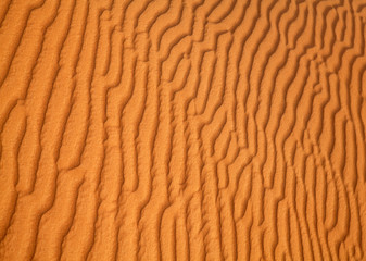 Red sand desert