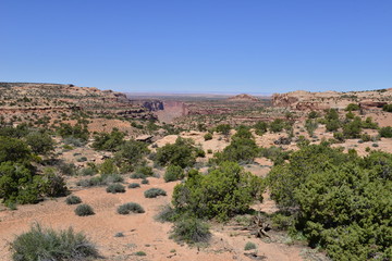 Fototapeta na wymiar Grunty Canyon w Utah w kwietniu 2014