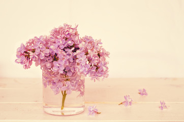 lilac