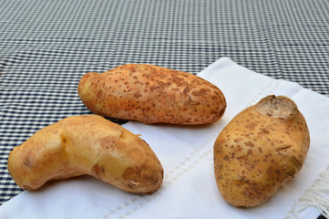 potato on cotton cloth