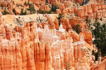 Sunset Canyon at Bryce Canyon National park, Utah.