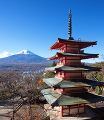 Fototapeta premium red pagoda chureito and mountain fuji from yamanashi prefecture