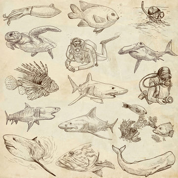 Underwater 1 - hand drawings on old paper