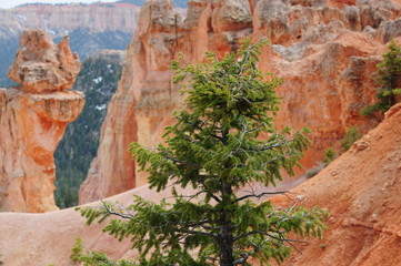 Sunset Canyon at Bryce Canyon National Park, Utah.