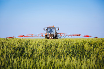 Tractor spraying wheat field with sprayer - obrazy, fototapety, plakaty