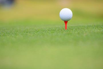 Golf ball on tee in front of driver on a gold course