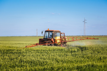Obraz premium Tractor spraying wheat field with sprayer