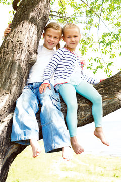 two blonde little girl sitting on a tree