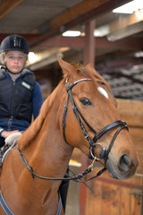 Obraz premium cavalière