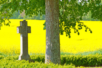 Wegkreuz am Rapsfeld