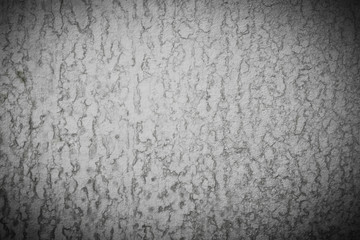 Water dry Texture