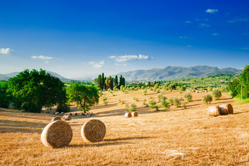 Tuscany landscape, summer - obrazy, fototapety, plakaty