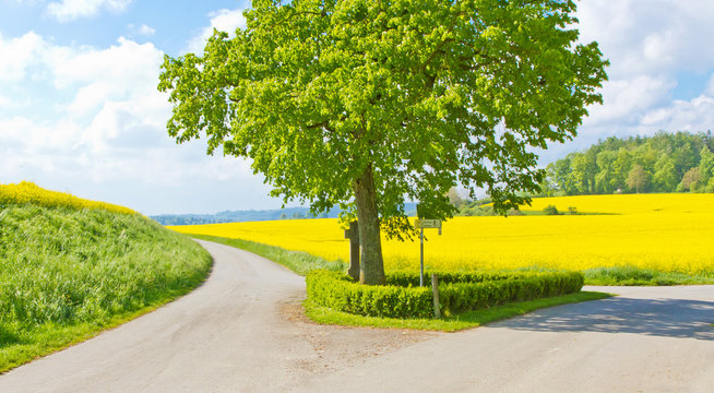 Wegkreuzung