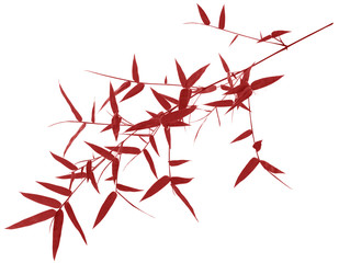 Green bamboo leaves isolated on white background