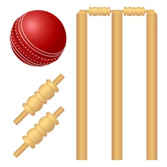 Photo sur Plexiglas Sports de balle Cricket ball and stump illustration