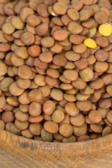 brown lentils in a woden bowl
