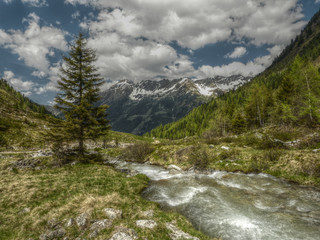 Fototapeta na wymiar Bach in den Alpen in HDR
