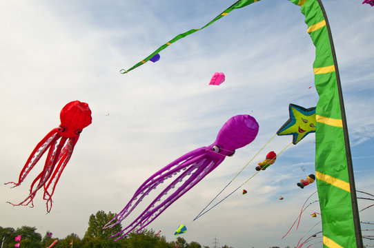 Different kites in the sky