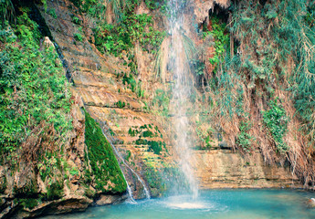 David's waterfall at Ein Gedi Nature Reserve