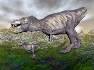Tyrannosaurus rex dinosaur mum and baby- 3D render
