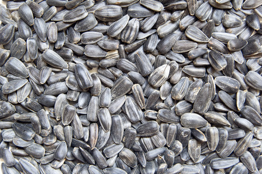 sunflower seeds