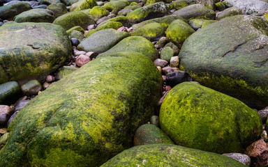 Grüne Felsen an der Küste Rügens