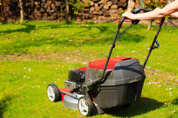 Gardening. Mowing green lawn with red lawnmower