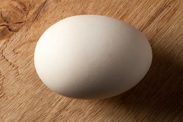 Food. White chicken egg on wooden background