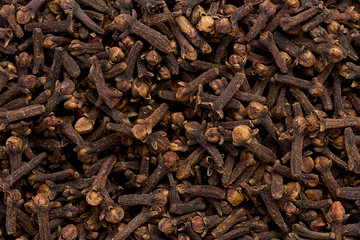 Cloves (Syzgium aromaticum)