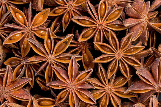 Star Anise (Illicium Verum)