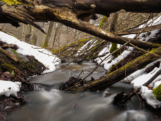 Bach im Jasmund Nationalpark auf Insel Rügen