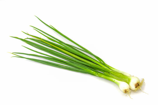 Green Onion on white background.