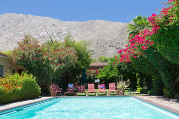 Swimming Pool Oasis in California