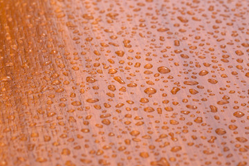 Drops of rain on wood