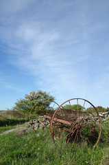Abandoned old horse rake in a landscape at springtime